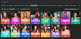 Understanding the Privacy Policy of JB Casino 428313473